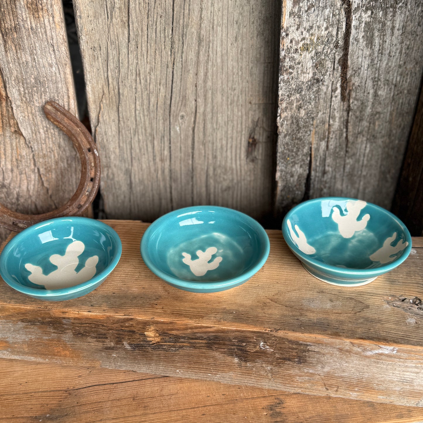 Sauce bowl set of 3 turquoise cactus