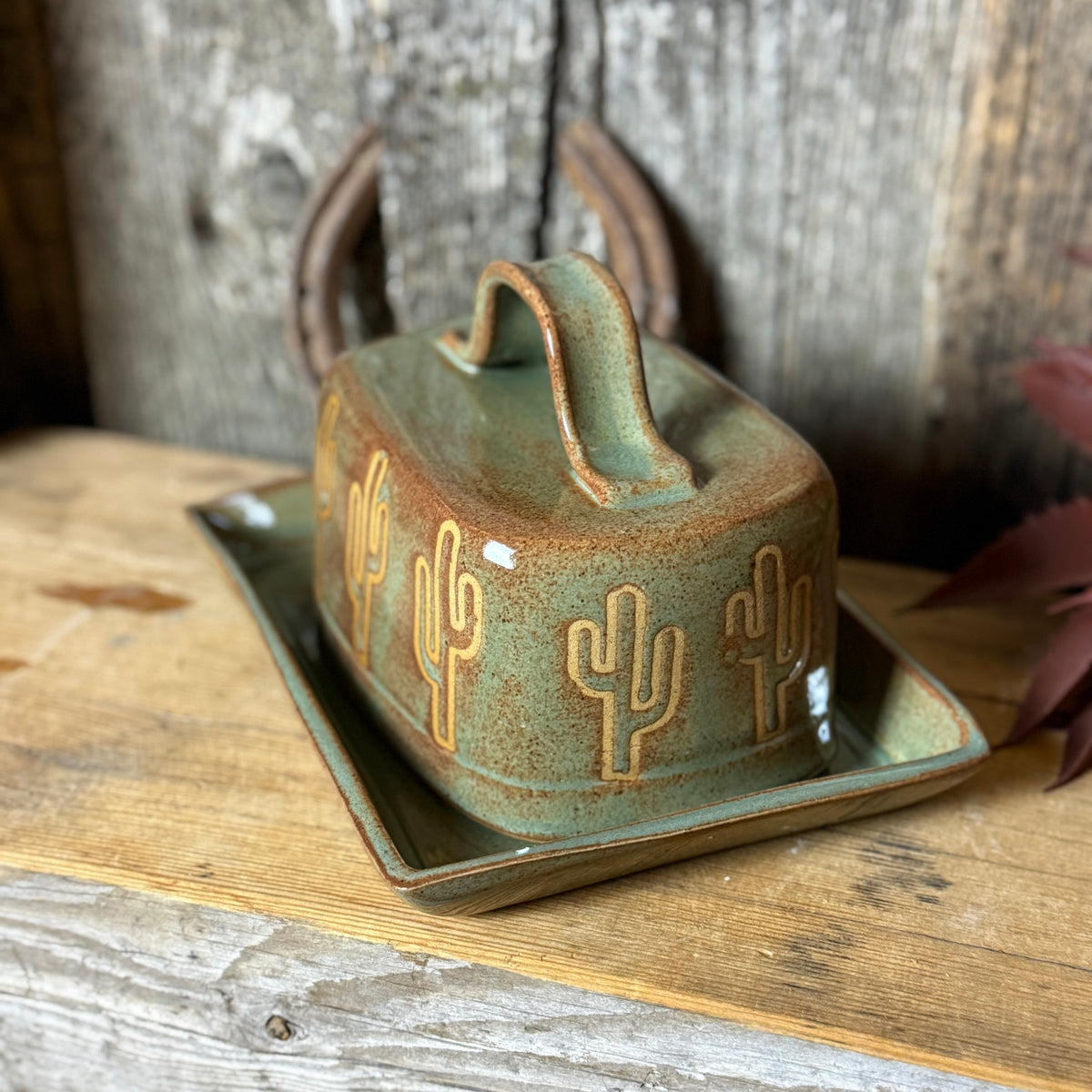 Butter Dish Sagebush Cactus